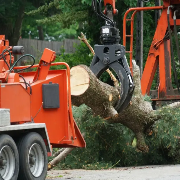 Diseño sin título (21)